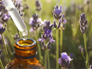 Aromatherapie Lavande