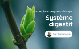 Cours Genmotherapie Systeme Digestif