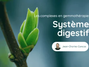 Cours Genmotherapie Systeme Digestif