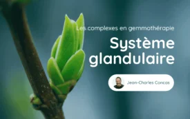 Cours Genmotherapie Systeme Glandulaire