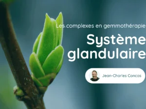 Cours Genmotherapie Systeme Glandulaire