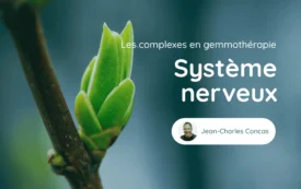 Cours Genmotherapie Systeme Nerveux