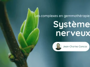 Cours Genmotherapie Systeme Nerveux