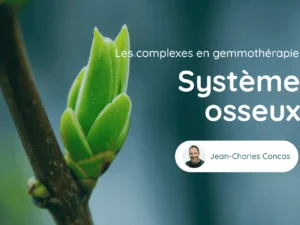 Cours Genmotherapie Systeme Osseux