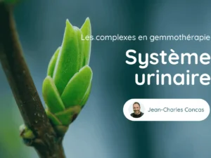 Cours Genmotherapie Systeme Urinaire