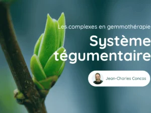 Cours Genmotherapie Systeme Tegumentaire