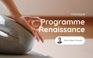 Programme Renaissance