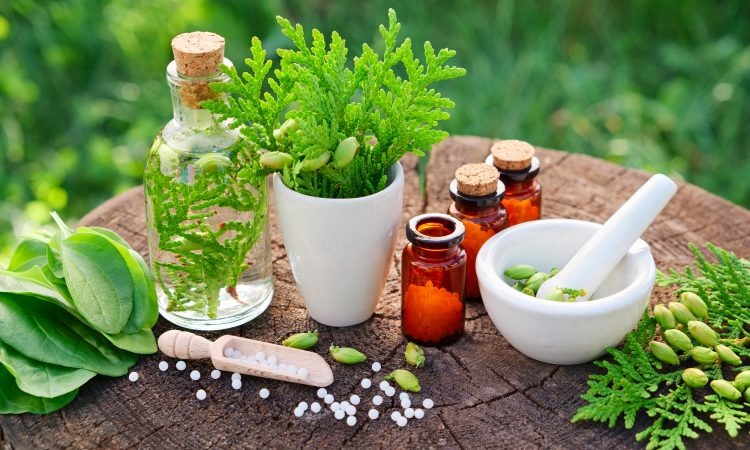 Formation en naturopathie : bâtissez une carrière en santé naturelle