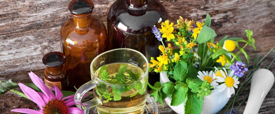 Le rôle de la formation dans la santé intégrative : pourquoi se former