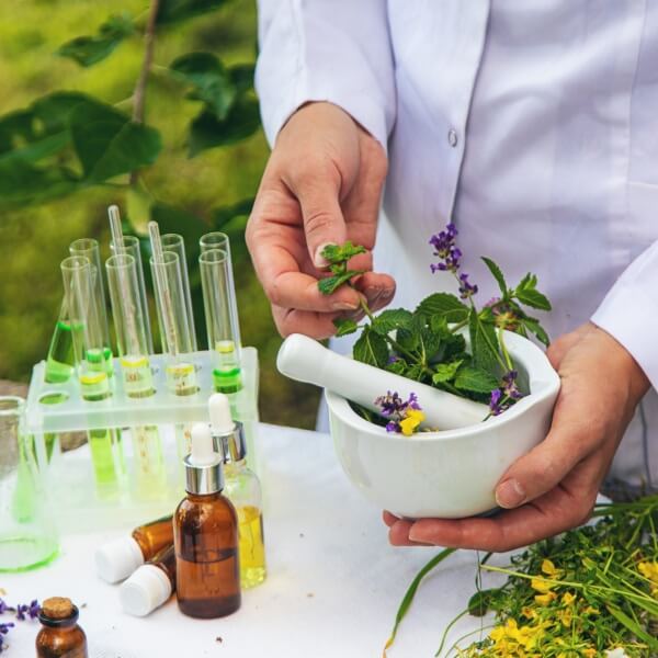 Une composition visuelle représentant les principales disciplines des médecines douces, incluant des aiguilles d'acupuncture, des huiles de massage, des plantes médicinales et des pierres chaudes disposées sur un fond zen.